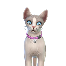 Cleo (Brindleton Bay)