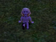 Resting Sultan Sam at night.