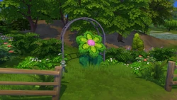 Crystal Valley Topiary