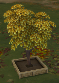 How to Get the Money Tree in Sims 4 (Make Tons of Money!)