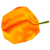 Flame Fruit