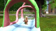 A child using the water slide