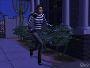Sims2Burglar