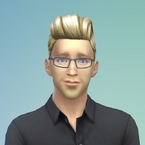 SimGuruMeatBall