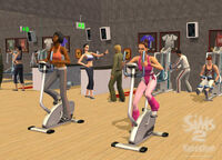 The fitness club