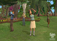 TS2FT Gallery 8