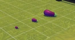 Aubergine.png (437 KB) Aubergine size comparison