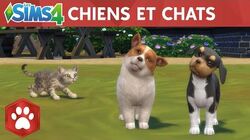 Les Sims 4 Chiens Et Chats Simpedia Wiki Les Sims Fandom