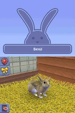 Benji the Rabbit