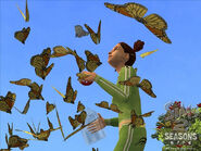 DS2S Afbeelding 13.jpg (108 kB)