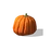 Medium Pumpkin TS4