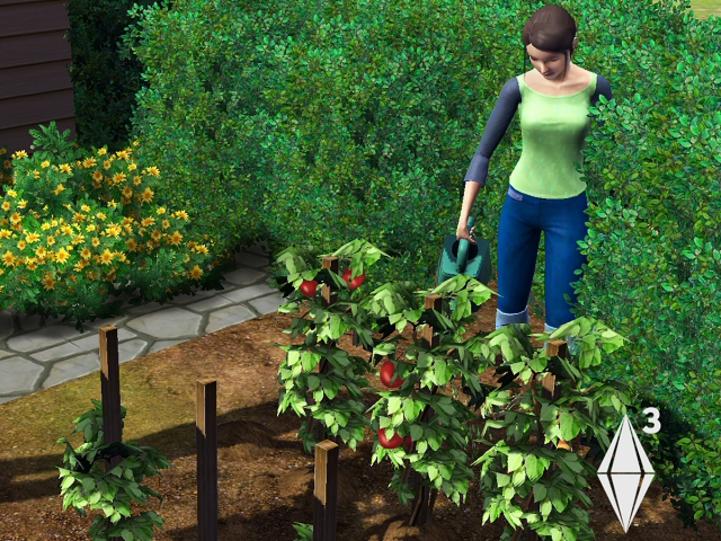 how do you plant seeds in sims 4