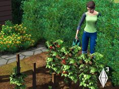 SIMS3GARDEN2