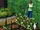 Gardening (The Sims 3)