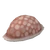 Cowry Shell