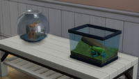 TS4 Goldfish and Leaf Frog