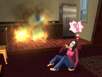 A Knowledge Sim falls into desparation as a quiet fire incinerates the kitchen in the background - August 2014