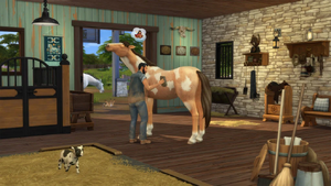 The Sims 4: Horse Ranch, The Sims Wiki