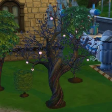 Plasma Fruit The Sims Wiki Fandom