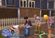 Don in The Sims 2 (console)
