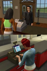 Sims 2 and Sims 4 Business