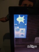 Applying coat pattern to a pet