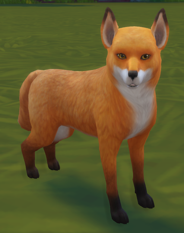 the sims 4 cats and dogs adopt a stray