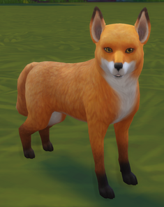 TS4 Fox