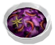 Plasma Fruit Salad.png