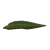 Eel