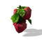 StrawberryTS4.png