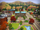 Appaloosa Plains