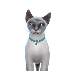 Gato, The Sims Wiki