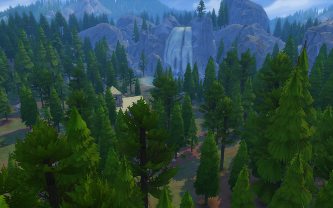 Granite Falls Forest