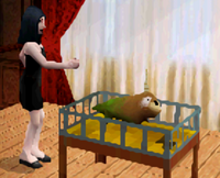 Galinha, The Sims Wiki