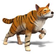 TigerDog, exclusive for console version