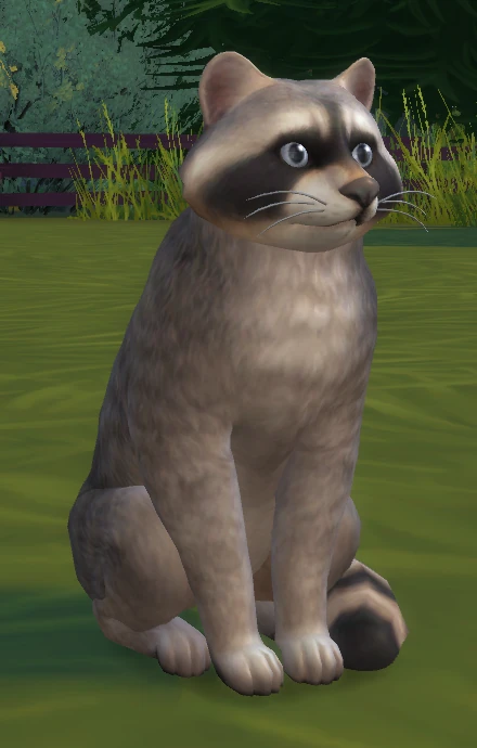 How to Adopt a Cat on Sims 4: Ultimate Step-by-Step Guide