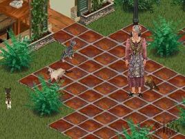 Kat-The Sims