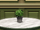 Indoor plants/The Sims 3