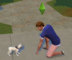 TS4 Pet training example