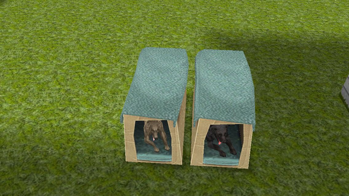 how to get a pet on sims freeplay