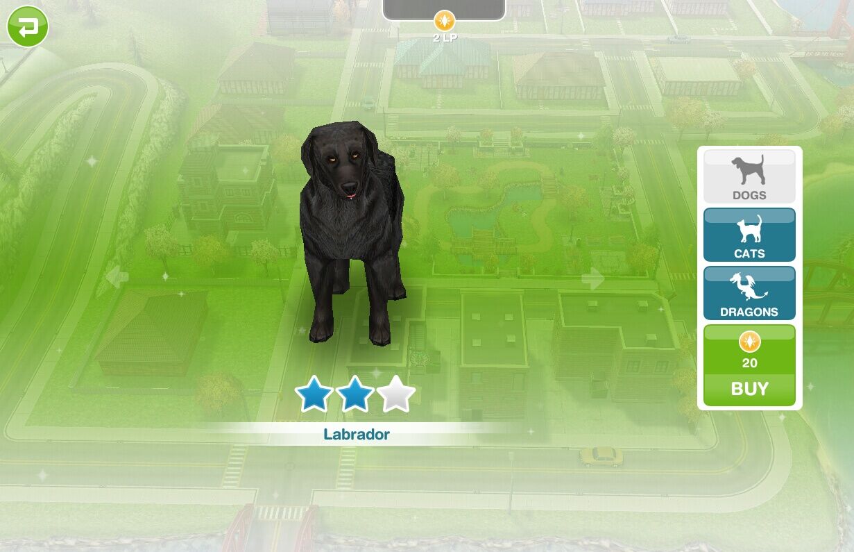 Sims freeplay/ pets