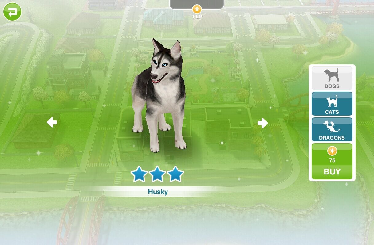 Sims freeplay/ pets