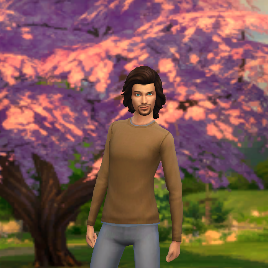 Noah Fabri | SimsvisionSuperstar Wiki | Fandom