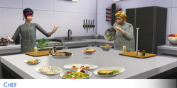 Carreira Culinária (TS4) - Chef