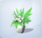 Margaridas (TS4E)