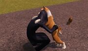 Xdogdeathgrim.gif.pagespeed.ic.4LqAdTe6sJ