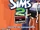 The Sims 2: Aberto para Negócios
