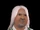 Erdrick Gnomeheim