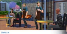 Carreira Barista